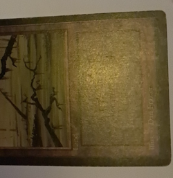 Swamp HP MTG Magic the Gathering Beta Basic Land (C) - Image 4