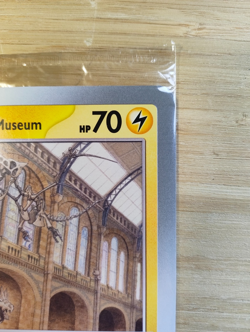 Pokemon TCG Promo Oversized Card - Pikachu at the Museum (Sealed) - UK ⭐ - Image 3