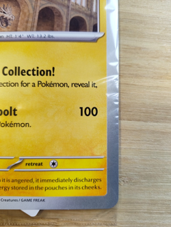 Pokemon TCG Promo Oversized Card - Pikachu at the Museum (Sealed) - UK ⭐ - Image 5