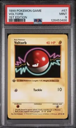 1999 Pokemon Game VOLTORB 1st Edition 67/102 PSA 9 MINT - Image 3