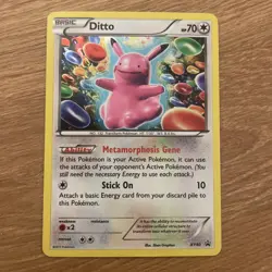 Pokemon Ditto XY40 Promo - Image 1
