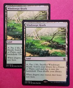 ❤‍🔥 Magic The Gathering - Windswept Heath - KTK - Near MINT 💚 - Image 1