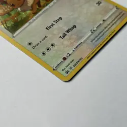 Eevee SWSH095 Sword & Shield Cosmos Holo Black Star Promo Pokemon TCG Card - Image 3