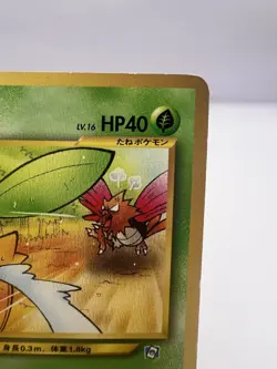 Pokemon Card Sunkern Natta Wake Promo No.191 2000 Japanese - Image 3