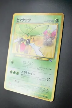 Sunkern No. 191 Natta Wake Promo 2000 Japanese Pokemon card - Image 4