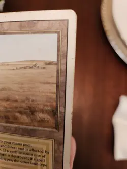 MtG - Savannah Dual Land-Revised Edition MP - Image 3