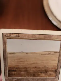 MtG - Savannah Dual Land-Revised Edition MP - Image 4