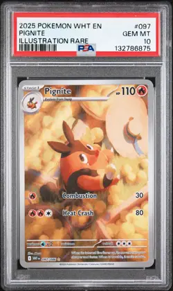 Pokemon 2025 Pignite 097/086 Illustration Rare White Flare GEM MINT PSA 10 - Image 1