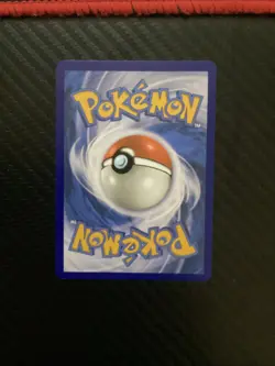 Pokemon Paldean Wooper #221/193 Sv02: Paldea Evolved Holo NM - Image 2