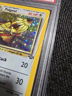 1999 Pokemon Jungle Pidgeot #8 1ST Edition PSA 8 HOLO NM - MT ***Cracked Slab*** - Image 2