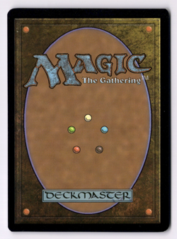 Misty Rainforest NM/M* FOIL RETRO Modern Horizons 2 ENGLISH 438 mtg -UnltdCards - Image 2