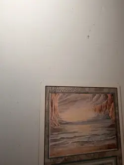 Mtg Underground Sea Revised Edition LP Check Photos - Image 2