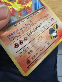 (Japanese) Moltres No. 146 - Fossil Holo Rare - Pokemon TCG (MP) - Image 3