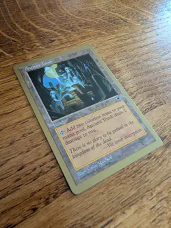 Magic Ancient Tomb 1999 World Championship (Kai Budde) - Unplayed, Near Mint - Image 3