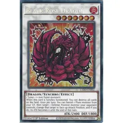 L5DD-ENS02 Black Rose Dragon : Secret Rare Card : 1st Edition YuGiOh TCG - Image 1