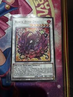 Yugioh Black Rose Dragon L5DD-ENS02 Secret Rare 1st Ed Chibi Art LP - Image 1