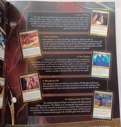Magic the Gathering Alara Reborn Player's Guide - Image 3