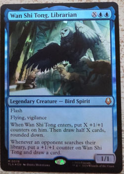 Magic The Gathering - Wan Shi Tong, Librarian #78 Foil, Near mint - Image 1