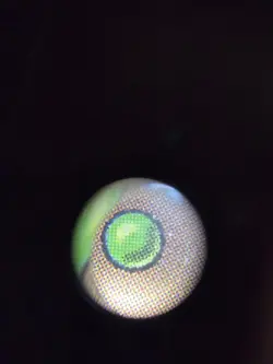 Replenish - Urza's Destiny - LP - MTG - Image 4