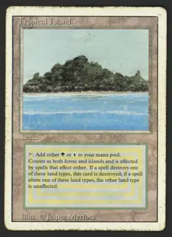 ***Tropical Island (Heavy Wear)*** MTG Revised Magic Kid Icarus - Image 1