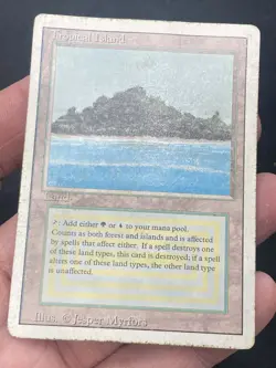 ***Tropical Island (Heavy Wear)*** MTG Revised Magic Kid Icarus - Image 3