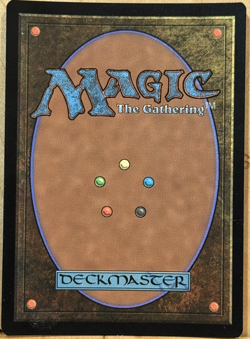 LIMITED EDITION Lord of the Rings MtG Call Forth the Tempest NM BORDERLESS FOIL! - Image 2