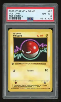 1999 Pokemon 1st Edition Shadowless Voltorb #67 PSA 8 - Image 1