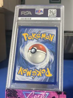 Squirtle Illustration Rare Pokemon SV07: Stellar Crown PSA 9 MINT - Image 2