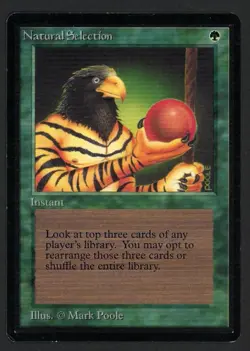 ***Beta Natural Selection*** MTG Beta Magic Kid Icarus - Image 1