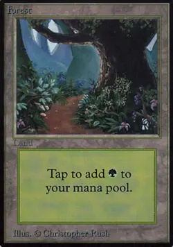 Heavy Play, English MTG Regular Forest (Path) Alpha Magic the Gathering - Image 1