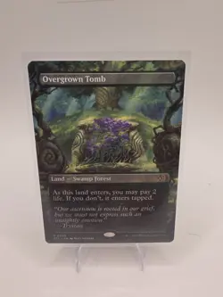Overgrown Tomb Borderless - ECL 0350 NM - MTG Magic - Image 1