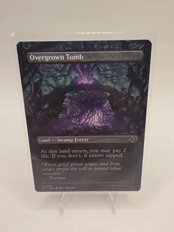 Overgrown Tomb Borderless - ECL 0350 NM - MTG Magic - Image 2