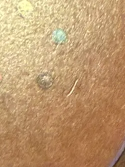 Mishra's Factory (Spring) Antiquities MTG: Magic The Gathering MP - Image 3