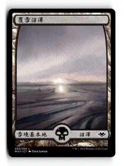 MTG | Snow-Covered Swamp | MH1 | Regular | LP | Chinese | Playset (x4) - Image 1
