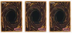Level Retuner - DP11-EN023 - Common - 1st Edition x3 - Image 2