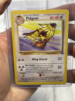Pokemon Pidgeot #24/64 Non-Holo Rare - 1999 Unlimited Jungle Set MP Vintage Card - Image 1