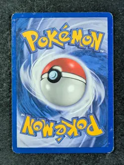 2004 Pokemon PILOSWINE #13/109 EX Team Rocket Returns Holo Rare English - Image 2