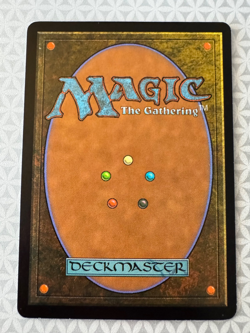 MTG Adarkar Wastes - 9th Edition 317/350 - Magic the Gathering - Rare LP - Image 2