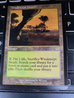 Windswept Heath Onslaught MTG - Image 1