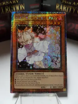 Yu-Gi-Oh 25th Anniversary Rarity Collection Quarter Century Secret Rare-YOU PICK - Image 5