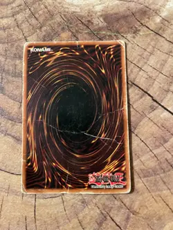 Red-Eyes Black Dragon - SDJ-001 - Ultra Rare - Unlimited - HP/DMG - Image 2