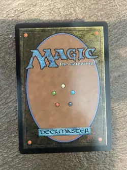 Ainok Strike Leader Extended Art Commander Tarkir: Dragonstorm NM Free Shipping - Image 2