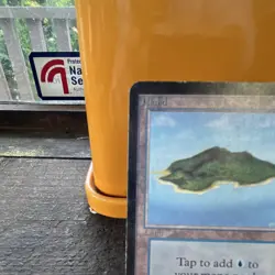 Magic: The Gathering Beta Island Land Card Illustrated by Mark Poole - Image 2