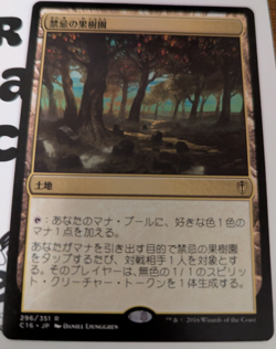 MTG Forbidden Orchard - Commander 2016 #296 Japanese - Image 1