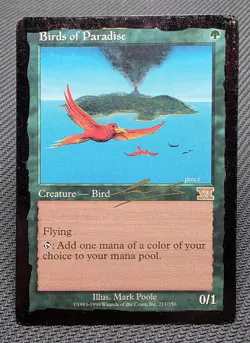 MTG Birds of Paradise (2000 Nicolas Labarre)- INKED -World Championships Card - Image 1