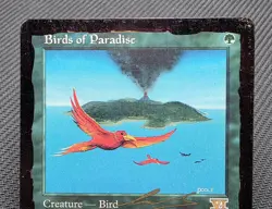 MTG Birds of Paradise (2000 Nicolas Labarre)- INKED -World Championships Card - Image 3