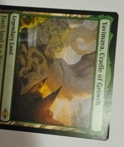 Yavimaya, Cradle of Growth Modern Horizons 2 MH2 MTG Magic the Gathering - Image 3