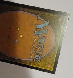 Yavimaya, Cradle of Growth Modern Horizons 2 MH2 MTG Magic the Gathering - Image 4