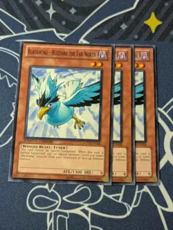 3x Blackwing - Blizzard the Far North - GLD3-EN024 - Common (NM) Yugioh Playset - Image 1