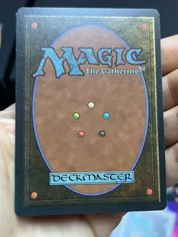 5x German Fbb Forest • Unplayed / Mostly Clean • Basic Land • Mtg - Image 4
